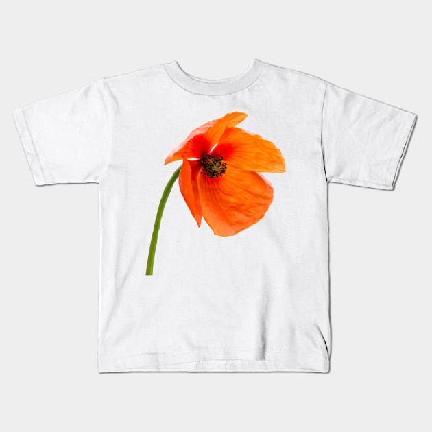 Red Poppy Kids T-Shirt by Shirasaya